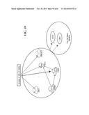 TRANSGENIC NON-HUMAN ANIMAL MODEL FOR ACCELERATED AGING AND/OR AGE-RELATED     SYMPTOM, AND USE THEREOF diagram and image