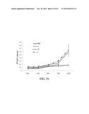 TRANSGENIC NON-HUMAN ANIMAL MODEL FOR ACCELERATED AGING AND/OR AGE-RELATED     SYMPTOM, AND USE THEREOF diagram and image