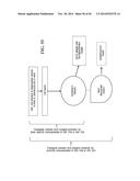 TRANSGENIC NON-HUMAN ANIMAL MODEL FOR ACCELERATED AGING AND/OR AGE-RELATED     SYMPTOM, AND USE THEREOF diagram and image