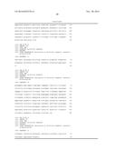 TRANSGENIC NON-HUMAN ANIMAL MODEL FOR ACCELERATED AGING AND/OR AGE-RELATED     SYMPTOM, AND USE THEREOF diagram and image