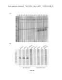 DEVICES AND METHODS FOR BIOMARKER DETECTION PROCESS AND ASSAY OF     NEUROLOGICAL CONDITION diagram and image