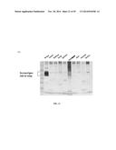 DEVICES AND METHODS FOR BIOMARKER DETECTION PROCESS AND ASSAY OF     NEUROLOGICAL CONDITION diagram and image