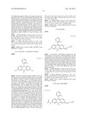 FLUORESCENT PROBE diagram and image