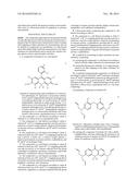 FLUORESCENT PROBE diagram and image