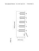 PROMOTER DERIVED FROM HUMAN GENE diagram and image