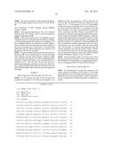 PROMOTER DERIVED FROM HUMAN GENE diagram and image