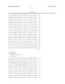 PROMOTER DERIVED FROM HUMAN GENE diagram and image