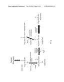 DIRECT BIOCATALYTIC PRODUCTION OF ACRYLIC ACID AND OTHER CARBOXYLIC ACID     COMPOUNDS diagram and image