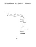 DIRECT BIOCATALYTIC PRODUCTION OF ACRYLIC ACID AND OTHER CARBOXYLIC ACID     COMPOUNDS diagram and image
