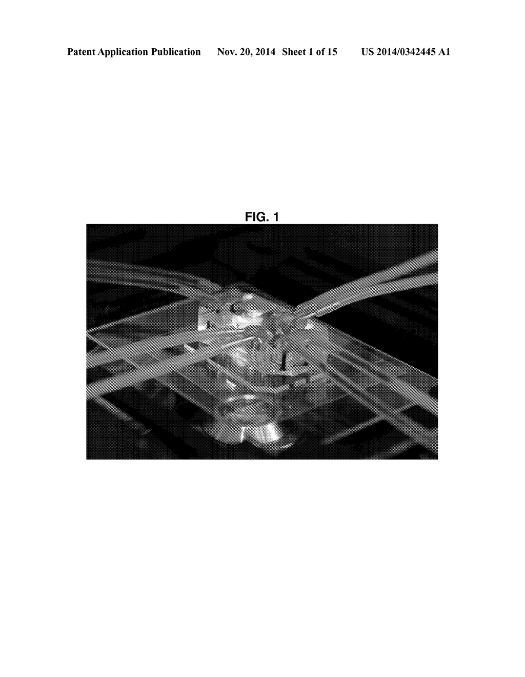 ORGAN CHIPS AND USES THEREOF - diagram, schematic, and image 02