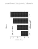 ANTIBODIES TO CCR2 diagram and image