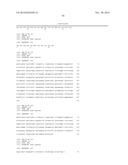 ANTIBODIES TO CCR2 diagram and image