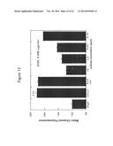 ANTIBODIES TO CCR2 diagram and image