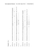 ANTIBODIES TO CCR2 diagram and image