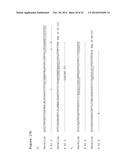 ANTIBODIES TO CCR2 diagram and image