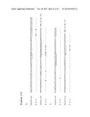 ANTIBODIES TO CCR2 diagram and image