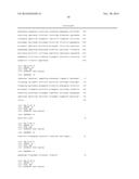 ANTIBODIES TO CCR2 diagram and image