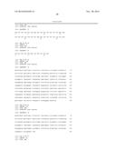 ANTIBODIES TO CCR2 diagram and image