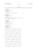 ANTIBODIES TO CCR2 diagram and image