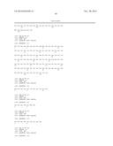 ANTIBODIES TO CCR2 diagram and image