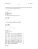 ANTIBODIES TO CCR2 diagram and image