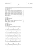 ANTIBODIES TO CCR2 diagram and image