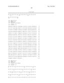 ANTIBODIES TO CCR2 diagram and image