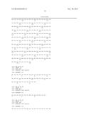 ANTIBODIES TO CCR2 diagram and image