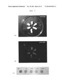 METHOD FOR THE GENERATION AND CULTIVATION OF A PLANT CELL PACK diagram and image