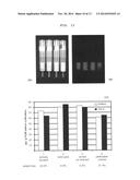 METHOD FOR THE GENERATION AND CULTIVATION OF A PLANT CELL PACK diagram and image