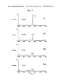 Nanoporous substrates for analytical methods diagram and image