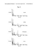 Nanoporous substrates for analytical methods diagram and image