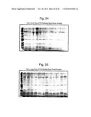 Nanoporous substrates for analytical methods diagram and image