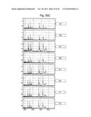 Nanoporous substrates for analytical methods diagram and image