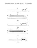 METHOD FOR FABRICATING SENSOR diagram and image