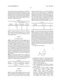 PROCESS FOR PREPARING ALKYL PYROGLUTAMIC ACIDS diagram and image