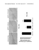 Anti-depression Compounds diagram and image