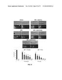 Anti-depression Compounds diagram and image