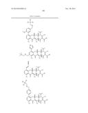 METHODS OF USING SUBSTITUTED TETRACYCLINE COMPOUNDS TO MODULATE RNA diagram and image