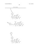 METHODS OF USING SUBSTITUTED TETRACYCLINE COMPOUNDS TO MODULATE RNA diagram and image