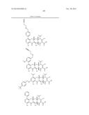 METHODS OF USING SUBSTITUTED TETRACYCLINE COMPOUNDS TO MODULATE RNA diagram and image