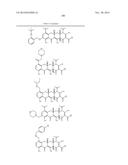 METHODS OF USING SUBSTITUTED TETRACYCLINE COMPOUNDS TO MODULATE RNA diagram and image