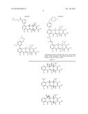 METHODS OF USING SUBSTITUTED TETRACYCLINE COMPOUNDS TO MODULATE RNA diagram and image