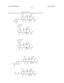 METHODS OF USING SUBSTITUTED TETRACYCLINE COMPOUNDS TO MODULATE RNA diagram and image