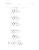 METHODS OF USING SUBSTITUTED TETRACYCLINE COMPOUNDS TO MODULATE RNA diagram and image