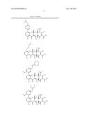 METHODS OF USING SUBSTITUTED TETRACYCLINE COMPOUNDS TO MODULATE RNA diagram and image