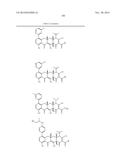 METHODS OF USING SUBSTITUTED TETRACYCLINE COMPOUNDS TO MODULATE RNA diagram and image