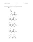 METHODS OF USING SUBSTITUTED TETRACYCLINE COMPOUNDS TO MODULATE RNA diagram and image