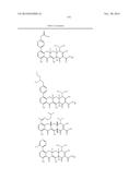 METHODS OF USING SUBSTITUTED TETRACYCLINE COMPOUNDS TO MODULATE RNA diagram and image