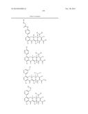 METHODS OF USING SUBSTITUTED TETRACYCLINE COMPOUNDS TO MODULATE RNA diagram and image